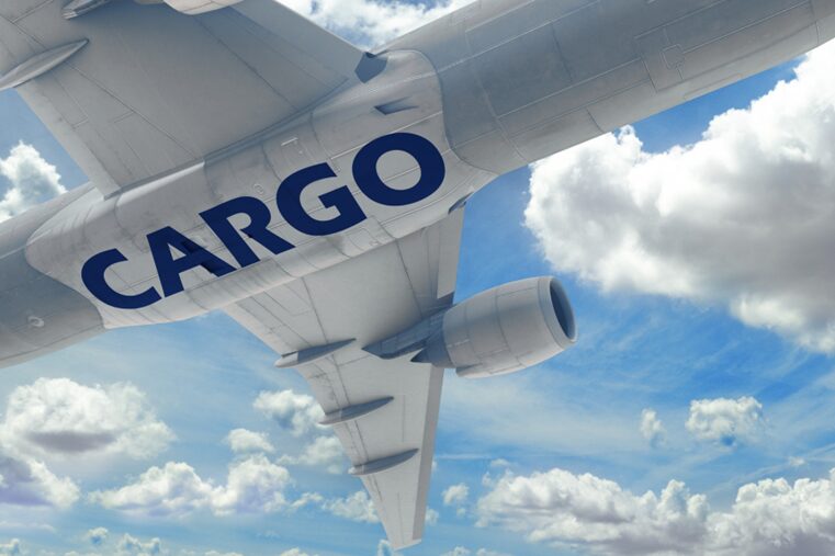 An image of the bottom of a plane, with the word "cargo" inscribed onto it.